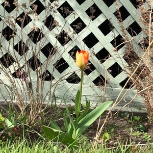 Meet your Posher, Illene